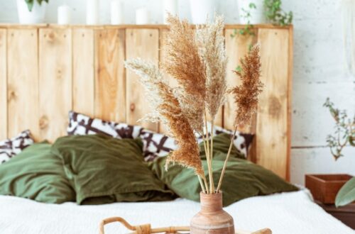 Fall Houseplants in a bedroom