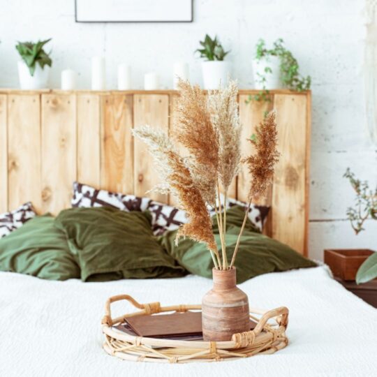 Fall Houseplants in a bedroom