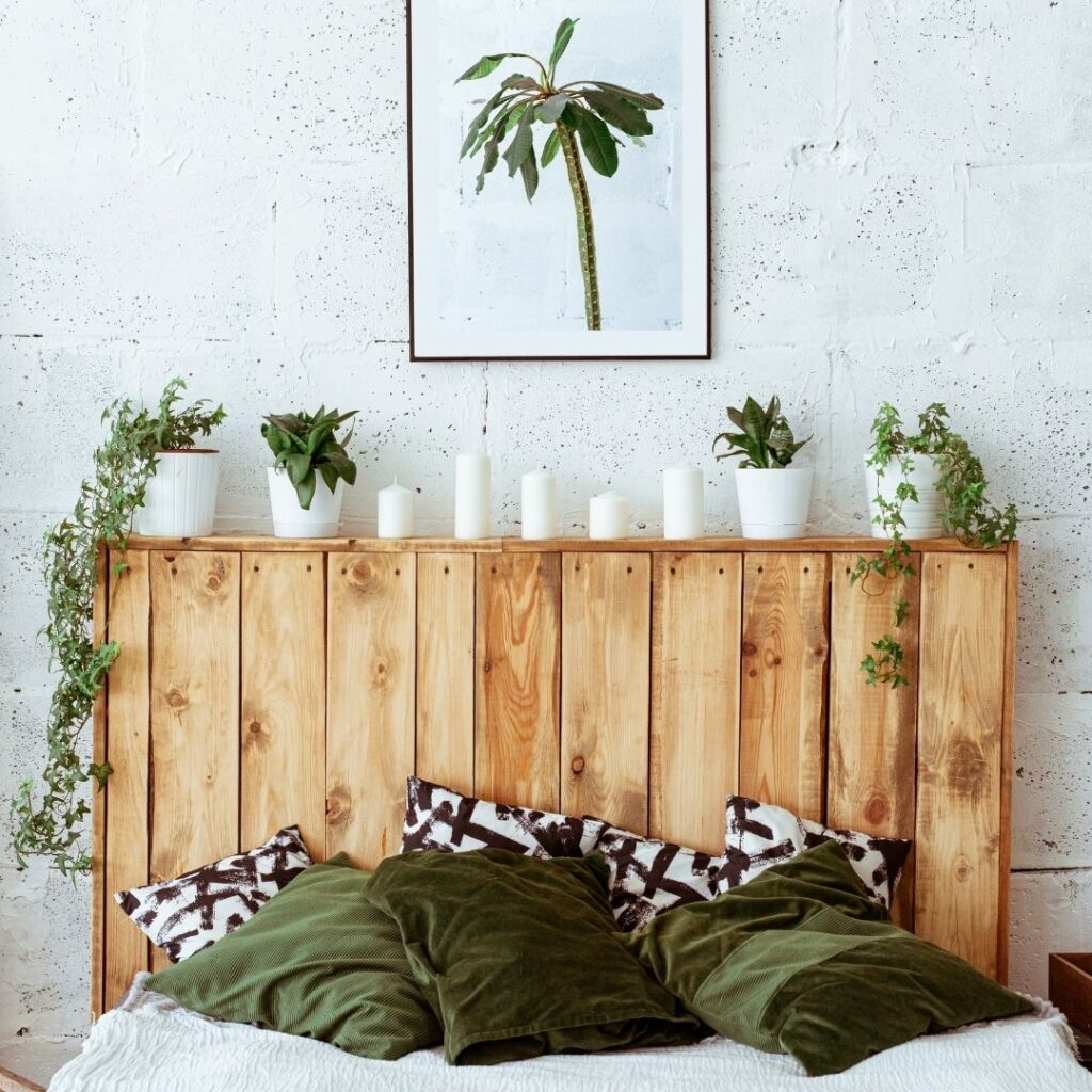 bedroom with fall houseplant vibes